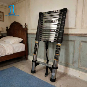 <span class=keywords><strong>Escalera</strong></span> Telescópica Plegable de Acero Inoxidable de Diseño Industrial de 5.9 Metros - Product Image 5