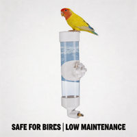 Abreuvoir automatique pour oiseaux, fontaine à eau pour perruche, canari, myna, accessoire de cage