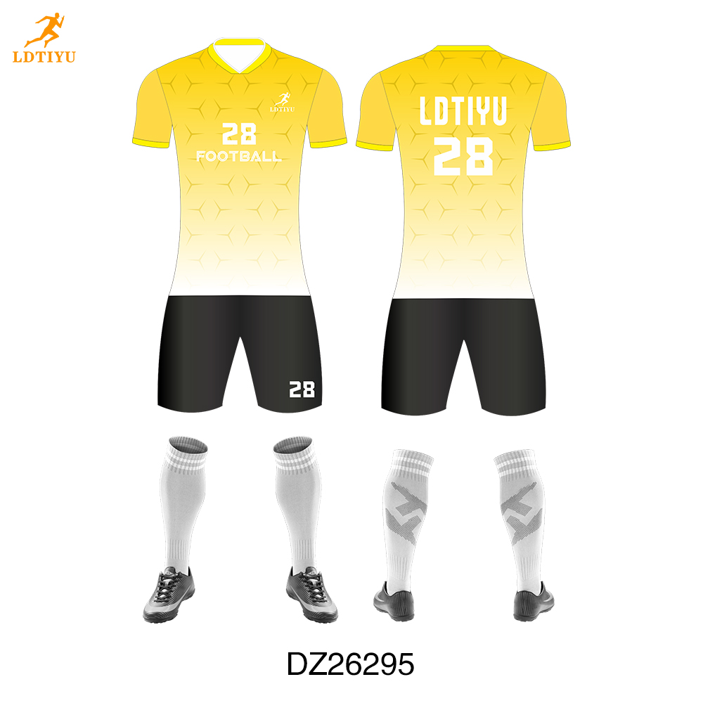 DZ26295