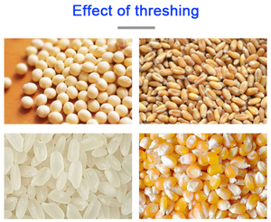 Trilladora <span class=keywords><strong>de</strong></span> Granos <span class=keywords><strong>de</strong></span> Alta Calidad y Amplio Uso, Trilladora <span class=keywords><strong>de</strong></span> Arroz - Product Image 6