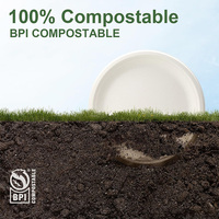 Assiettes jetables en bagasse 100% compostables, écologiques, biodégradables, résistantes, 10 pouces, sans PFAS, certifiées BPI