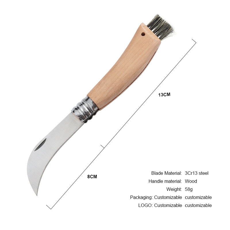 B พร้อมแปรง