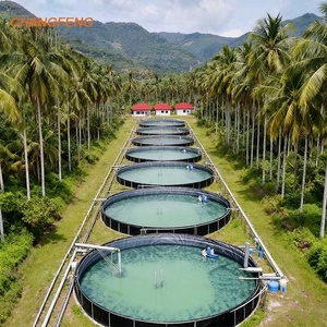 Bể nuôi cá ngoài trời ao lót <span class=keywords><strong>HDPE</strong></span> <span class=keywords><strong>geomembrane</strong></span> cho nuôi trồng thủy sản UV 0.75mm 1mm công nghiệp PVC LDPE polyethylene EPDM - Product Image 1