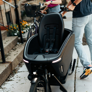 Bici elettriche <span class=keywords><strong>Cargo</strong></span> con deposito e sedili consegna 2 ruote Ebike per bambini animali da vendita - Product Image 3