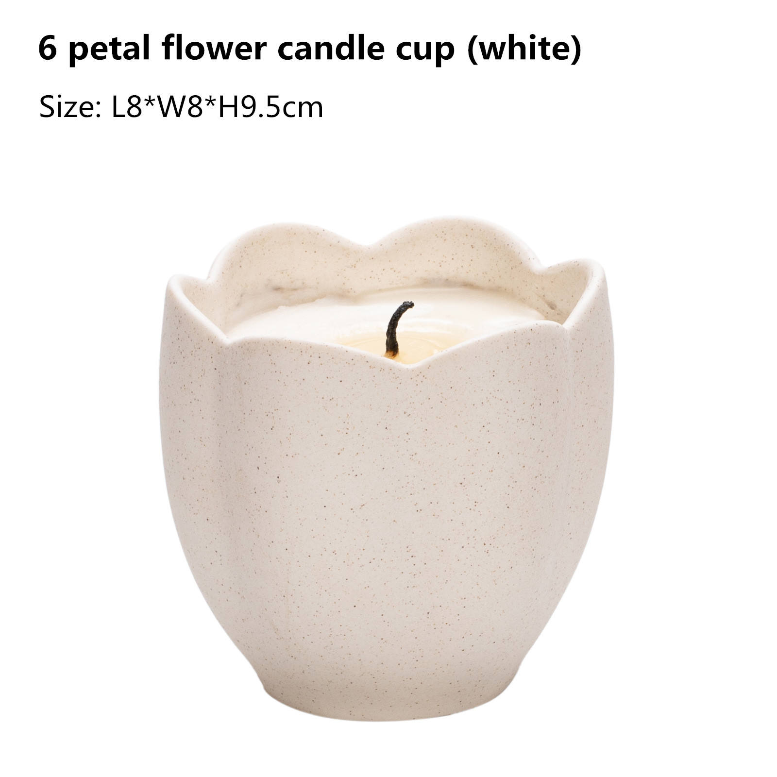 6 petal flower -white
