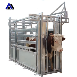 Fabbrica di alta qualità vendita calda pesante in acciaio per bestiame schiacciare il bestiame spremere scivolo Stock di cantiere per la vendita - Product Image 2