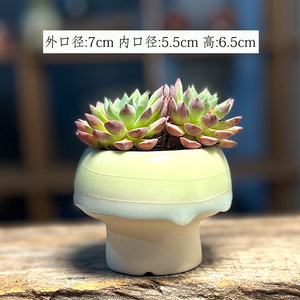 Jardinières en céramique pour plantes succulentes, décoration créative pour la maison, ornements, glaçure fluide, petits pots en forme de champignon, pots à glace craquelée pour <span class=keywords><strong>Lithops</strong></span> - Product Image 4