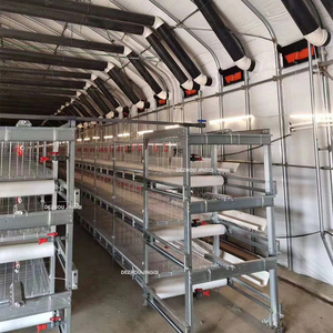 Système automatique de <span class=keywords><strong>cage</strong></span> pour poulets de chair de type H à 3 étages et 4 niveaux avec convoyeur à bande pour le nettoyage des déchets à vendre - Product Image 2