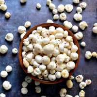 Indian SEEDLY GLOBAL 100% Premium Grade Foxnuts Makhana 12-19mm Camilan Protein Tinggi Serat Tinggi Bebas Pestisida dan Residu Kelas Makanan