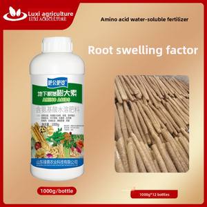 Engrais hydrosoluble à base d'acides aminés pour <span class=keywords><strong>patate</strong></span> <span class=keywords><strong>douce</strong></span> et igname favorisant la croissance des racines et des tubercules - Product Image 2