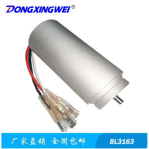 มอเตอร์ไร้แปรงถ่านขนาดเล็ก Dongxingwei BL3163 สำหรับกรรไกรตัดแต่งกิ่งไฟฟ้า เครื่องมือทำสวน - Product Image 3