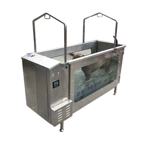 Caminadora Subacuática para Hidroterapia Canina SUS304, Económica, OEM, Equipo para Clínicas Veterinarias y Hospitales - Product Image 1