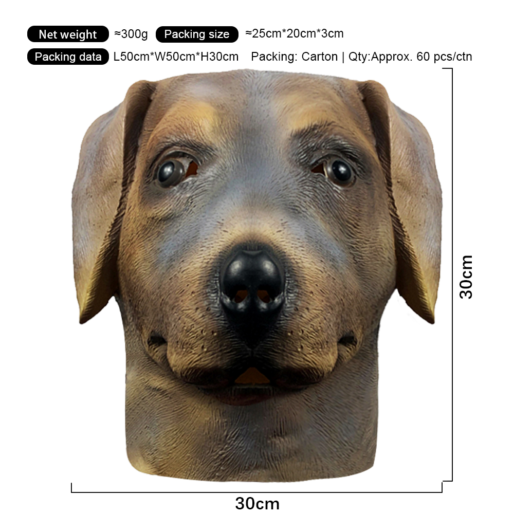 Cane Labrador