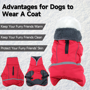 Famicheer BSCI <span class=keywords><strong>pastor</strong></span> alemán Dachshund ropa de invierno chaquetas de perro grande <span class=keywords><strong>para</strong></span> invierno abrigos y chaquetas sólidas modernas 1 pieza/bolsa opp - Product Image 5