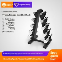 Support de Rangement Pliable Multi-Spécifications pour Haltères en Fer, Tour Triangulaire Multi-Niveaux pour Salle de Sport