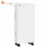 Batería de Almacenamiento de Energía para el Hogar Felicity Solaire de 15kva, ¿Cuánto Cuestan las Baterías de Litio de 48v 300ah?
