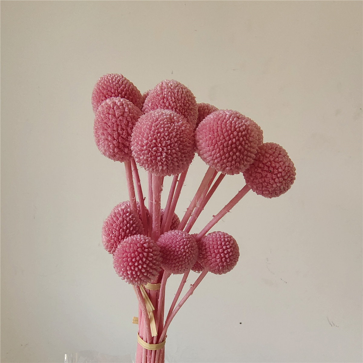 Rose foncé