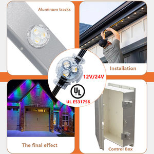 Luci LED Gemstone 30mm 12V IP68 per Esterni, Luci Permanenti per Natale e Festività, Luci a Pixel LED SMD5050 RGBW - Product Image 4