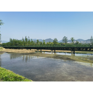สะพานเบลีย์ทำจากเหล็กดีไซน์สะพานเบลีย์ผู้ผลิตจีน - Product Image 2