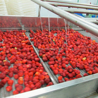 Exportprijs Iqf Aardbei Hele Iqf Bevroren Aardbei Bevroren Fruit China Groothandel Verse Aardbei
