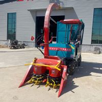 Petite machine à ensilage autopropulsée à haute productivité, moissonneuse à ensilage, neuve/d'occasion