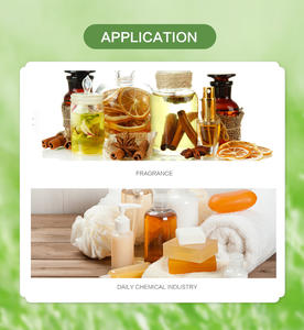 Aceite esencial de grado detergente del fabricante, fragancia con sabor a pino, alfa, terpineol, 4-terpineol, aceite líquido de vainilla para limpieza - Product Image 3