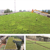 Matériau plastique écologique Sedum Green Roof Modular Tray System conteneur combiné de stockage et de drainage
