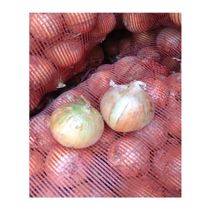 Vente en gros d'ail blanc biologique d'exportation d'oignons rouges frais de Chine et d'oignons frais Fournisseur d'oignons biologiques de Shandong - Product Image 2