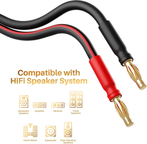 Câble de haut-parleur <span class=keywords><strong>Hi</strong></span>-<span class=keywords><strong>Fi</strong></span> plaqué or 24 carats haut de gamme avec fiches bananes - Product Image 1