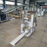 Italian Ravioli Machine Popular in Usa Dumpling Forming Machine Dumpling Ravioli Making