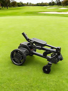 Caratteristiche Uniche: 5 Modalità, Forte Capacità di Arrampicata, Sistema di Auto-Bilanciamento Intelligente, Funzione Seguimi, Carrello da Golf - Product Image 6