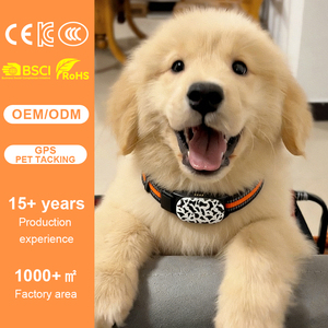 Localizzatore GPS Intelligente Qcool per Animali Domestici con Conteggio Passi, Impermeabile IP67, Antifurto, Posizionamento Preciso e Monitoraggio Attività in Tempo Reale - Product Image 1