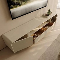 Table basse moderne et meuble TV pour salon, blanc, simple, multifonctionnel, mobilier de maison en pierre