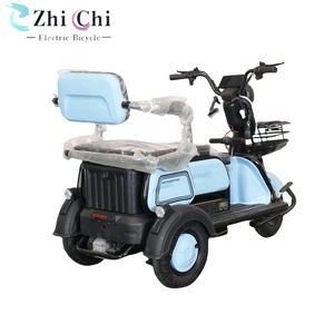 <span class=keywords><strong>Tricycle</strong></span> électrique de fret 48V 1000W en gros directement de l'usine |   <span class=keywords><strong>Tricycle</strong></span> motorisé compact et durable, poids à vide de 200 kg - Product Image 3