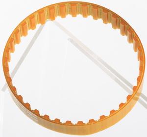 Ceinture dentaire - Product Image 4