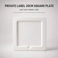 Assiette carrée en pulpe de bagasse de canne à sucre écologique de haute qualité, vaisselle jetable compostable pour la restauration et les événements