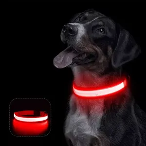 Kit di 2 collari LED illuminati per cani e gatti