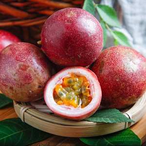 Poudre d'extrait de fruit de la passion en gros, qualité alimentaire, 80 Mesh, séchée par pulvérisation, enrichie en vitamines - Product Image 4