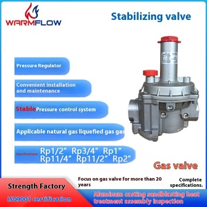 Válvulas de <span class=keywords><strong>gas</strong></span> reductoras de alta presión Nuevas válvulas solenoides estabilizadoras proporcionales Varios servicios de fundición suministrados Fabricantes - Product Image 3