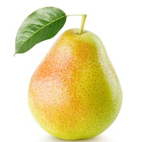 Bioverse Factory Supply Pyrus Pyrifolia Sap Extract Spray Gefreeze-droogd Peer Fruitpoeder