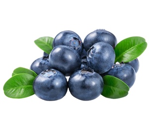 Bleuets <span class=keywords><strong>sauvages</strong></span> surgelés IQF en vrac-Riches en antioxydants Bleuets surgelés - Product Image 2