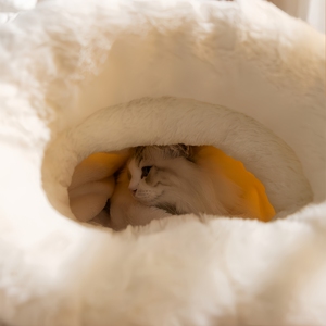 Premium Cotton Fleece Cartoon Pattern Luxury Pet Bed Pet <b>Mat</b> for Dogs and Cats with Arctic Fleece Material All Seasons Use - Product Image 5