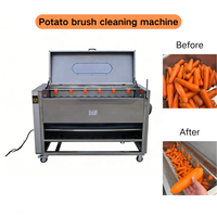 Machine à laver et à éplucher les légumes à rouleaux brossants, équipement de lavage et d'épluchage pour pommes de terre et carottes, machine à laver les légumes racines à brosses
