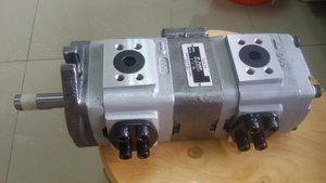 Pompe à engrenages hydraulique série IPH Dechuan, hydraulique standard IPH-46B-20-80-11 IPH-46B-20-100-11 IPH-46B-20-125-11 IPH-46B-25-80-11 - Product Image 4