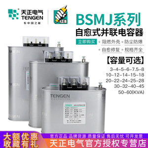 Condensateur de puissance basse tension auto-réparateur triphasé Tengen Bsmj 0.45 450V pour compensation de puissance réactive - Product Image 5
