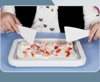 Machine à glace molle en acier inoxydable 304 rose et blanc, pour la préparation instantanée de glaces maison aux fruits, avec plaque froide métallique