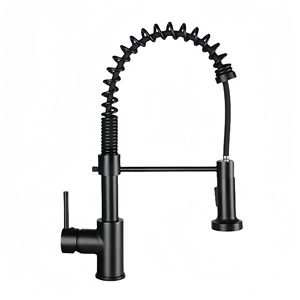 Robinets de cuisine modernes Robinets d'évier de cuisine en acier inoxydable à ressort Robinets de mélange d'eau chaude et froide - Product Image 6