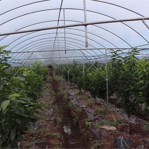 SEEPOEM mini tunnel en poly à faible coût, serre agricole, légumes, tunnel en polyéthylène, abri contre la pluie, serre pour <span class=keywords><strong>tomate</strong></span> - Product Image 4