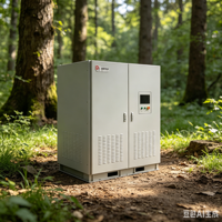 Convertisseur PCS de stockage d'énergie hors réseau Deming DMPCS-300kw 300KW avec protection VSG IP65, système 400V pour micro-réseau isolé