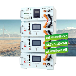 Batería de Servidor de Grado A de Alta Calidad, 51.2V 100A, Batería de Almacenamiento de Energía para Montaje en Rack, para Sistemas de Almacenamiento - Product Image 1